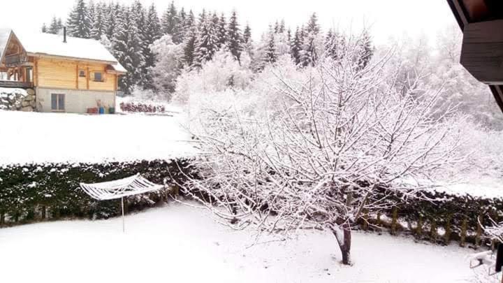 Chalet Trois Etoiles Xonrupt-Longemer Luaran gambar